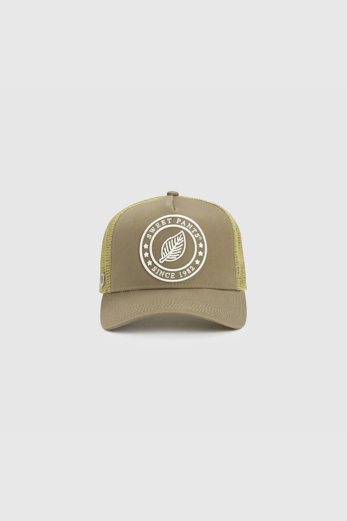 3D BASIC CAP SAUGE