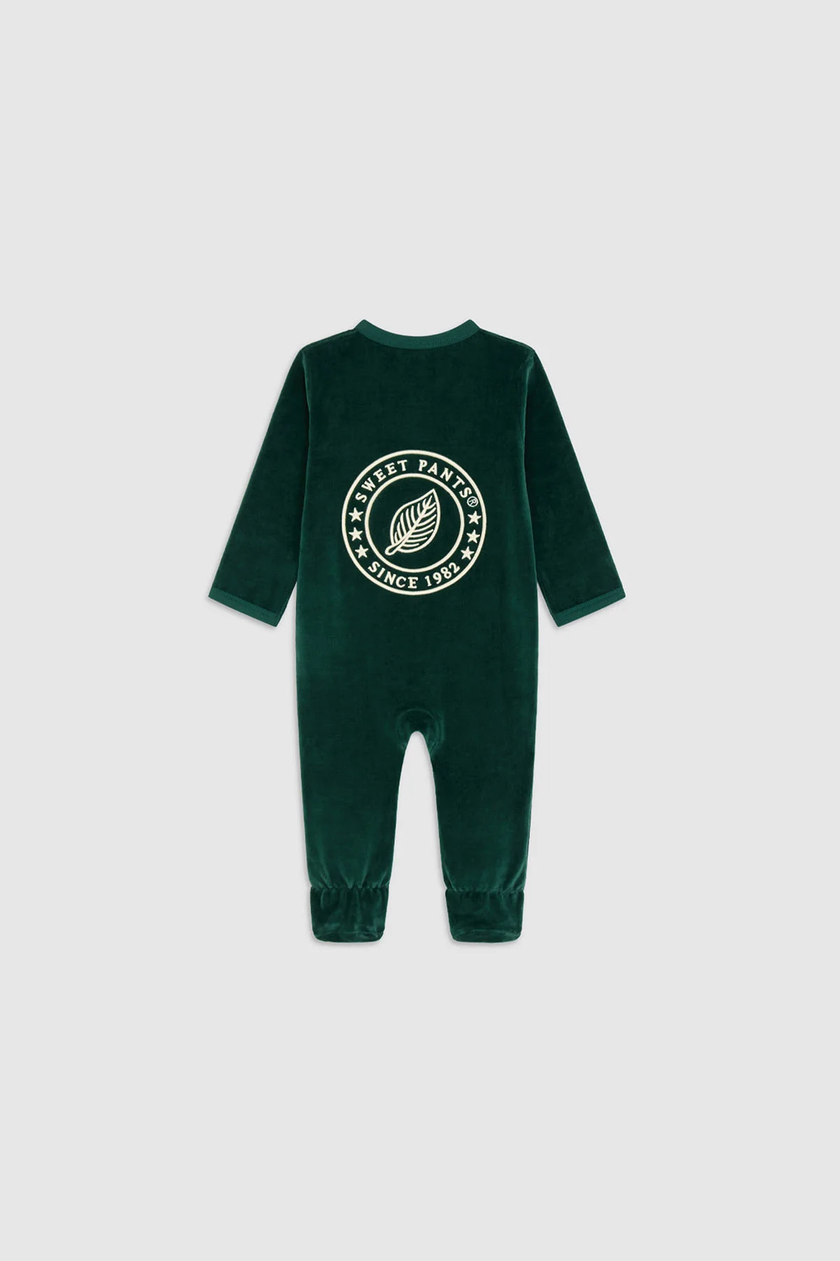 BABY PACK 25 DARK BOTTLE - Image 2