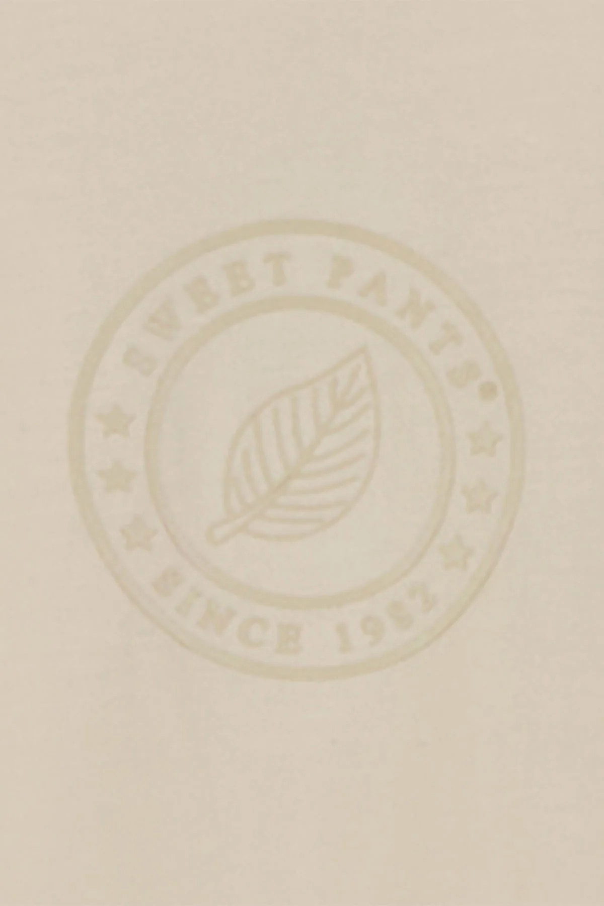 LE TEE SHIRT CREAM - Image 4